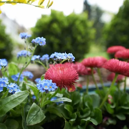 Ξενοδοχείο Klughardt 3*