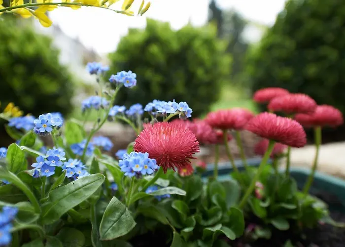 Отель Klughardt 3*